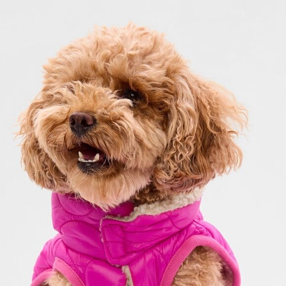 GAP Hot Pink Fleece Lined Puffer Coat for Dogs, Fits 50-75 lbs (2 Available) - Picture 3 of 9
